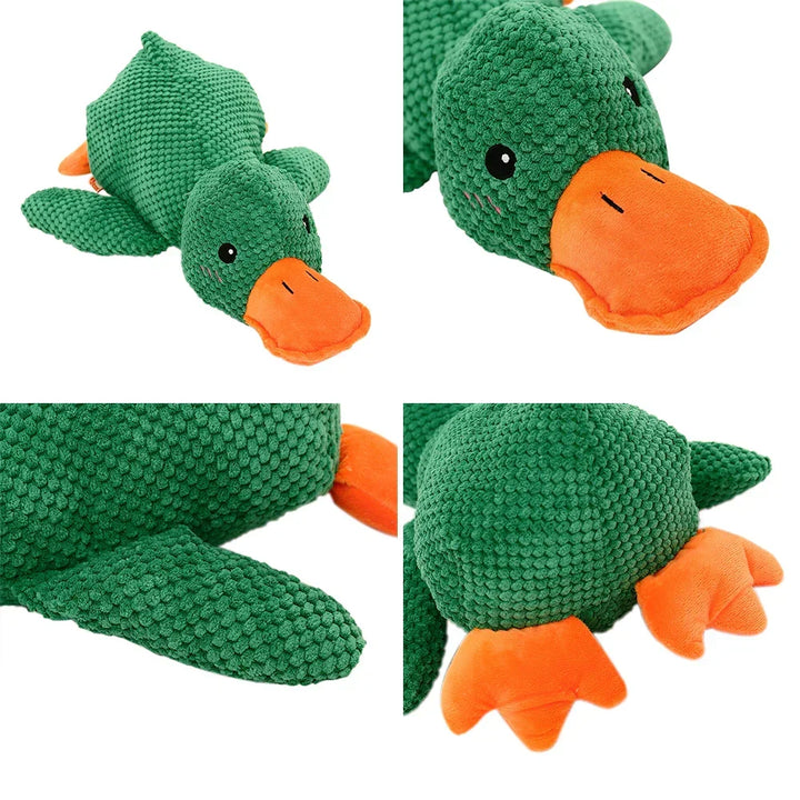 Kalsten | Calming duck for dogs