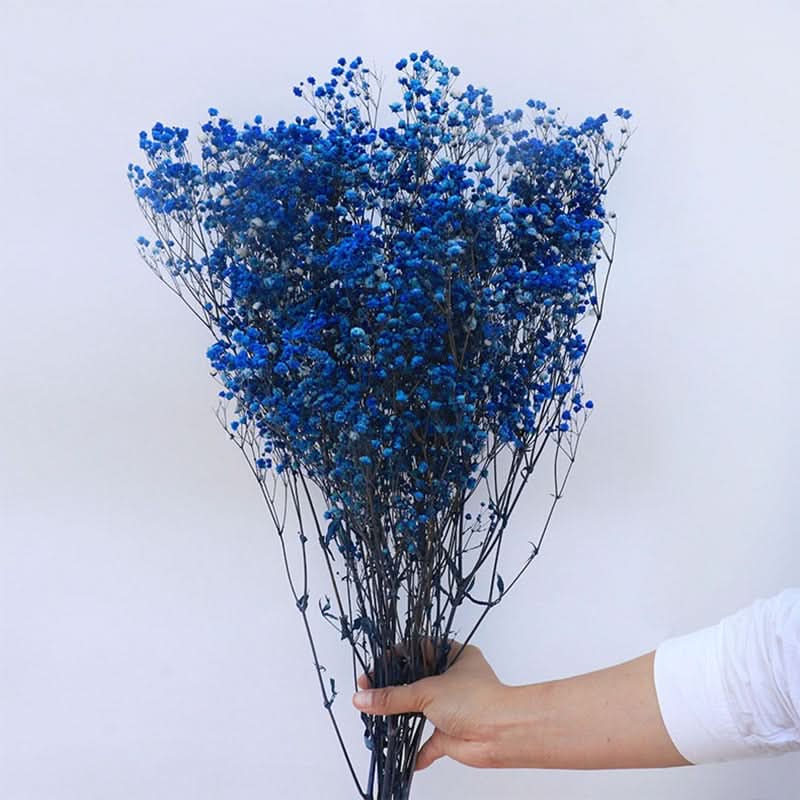 Kalsten | Dried Preserved Gypsophila Flower Bouquet – Natural Decor