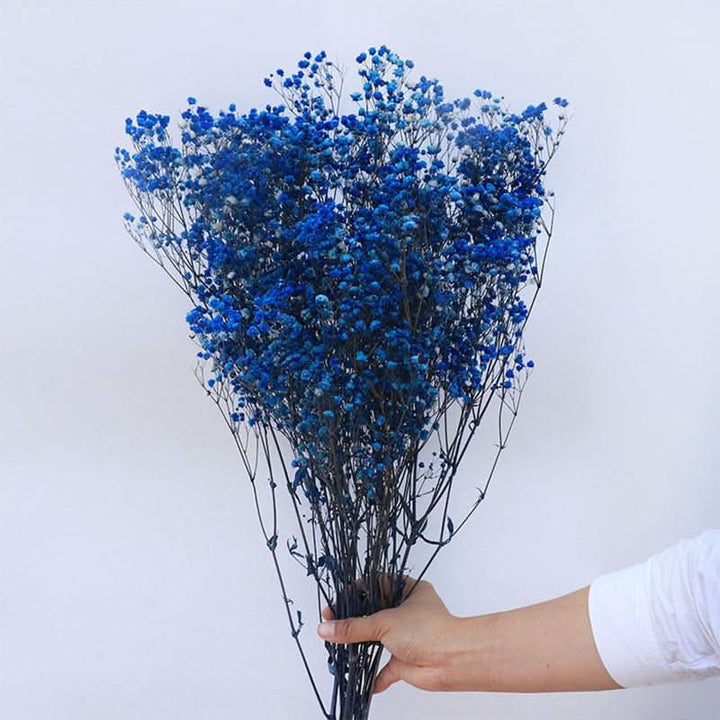 Kalsten | Dried Preserved Gypsophila Flower Bouquet – Natural Decor