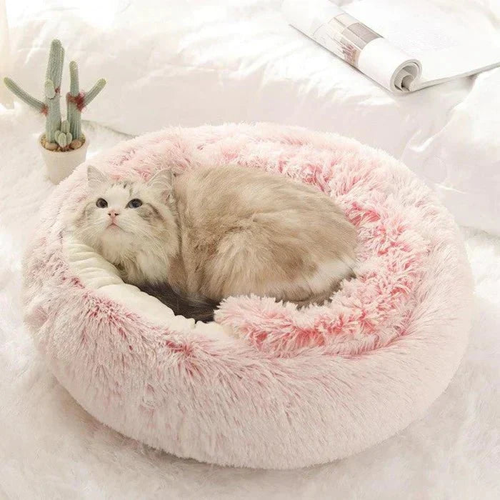 KittyCove Ultimate Comfort for Your Cat | Kalsten