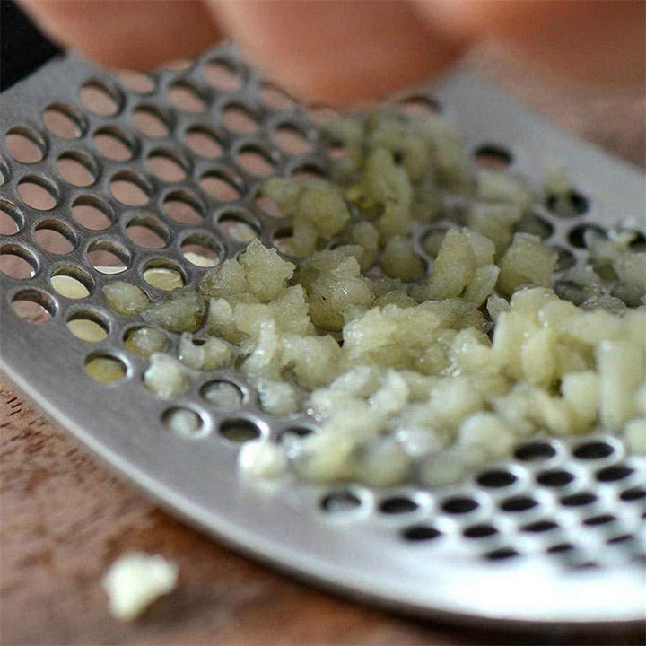 Stainless Steel Curves Garlic Press Kalsten