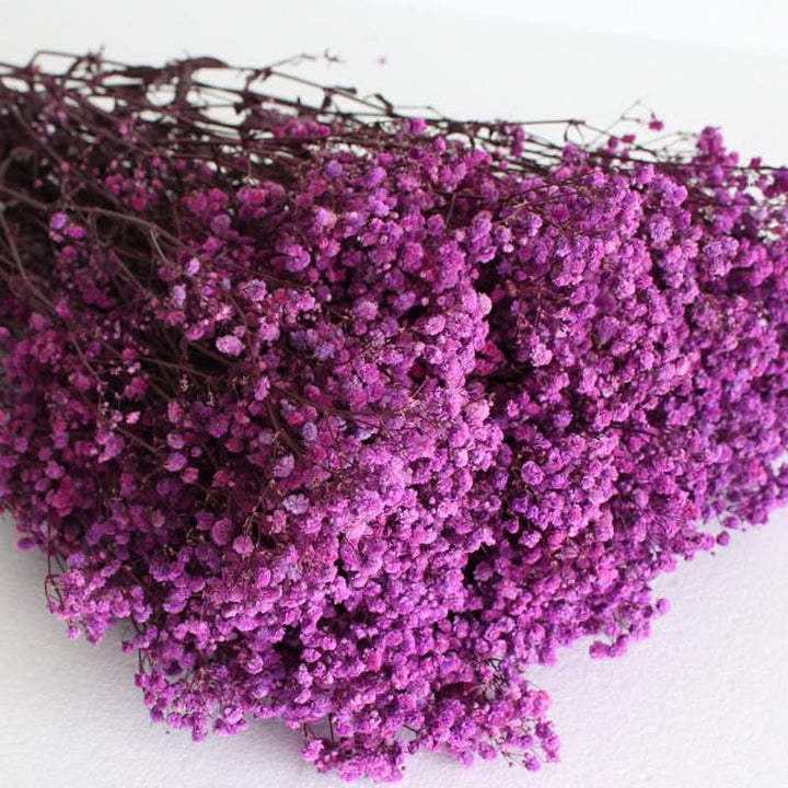 Kalsten | Dried Preserved Gypsophila Flower Bouquet – Natural Decor