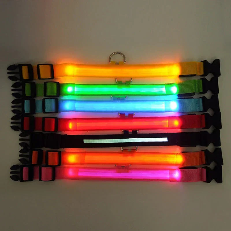 Kalsten | GlowPets LED Collar – Safety & Visibility for Pets