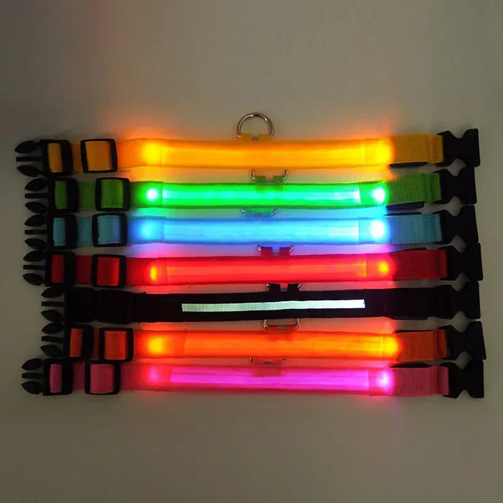 Kalsten | GlowPets LED Collar – Safety & Visibility for Pets