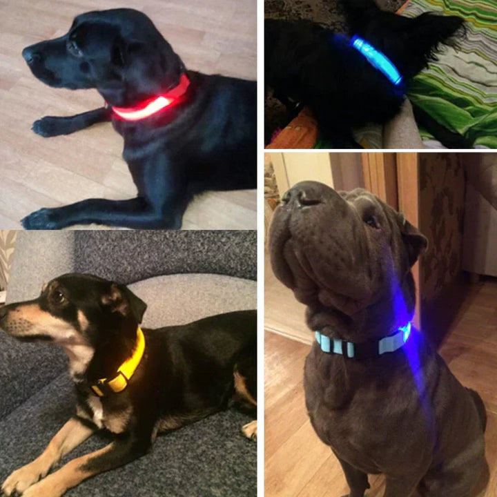 Kalsten | GlowPets LED Collar – Safety & Visibility for Pets