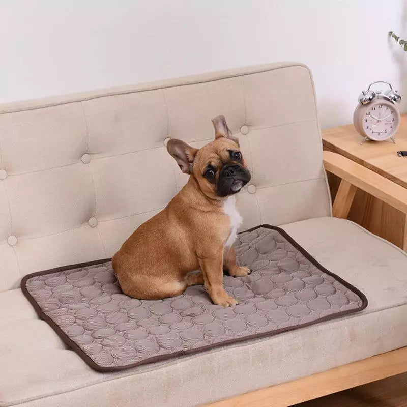 Summer Cooling Dog Mat: Breathable Pad for Dogs and Cats - Washable Pet Bed Blanket for Small, Medium, and Large Dogs, Ideal for Cars | Kalsten