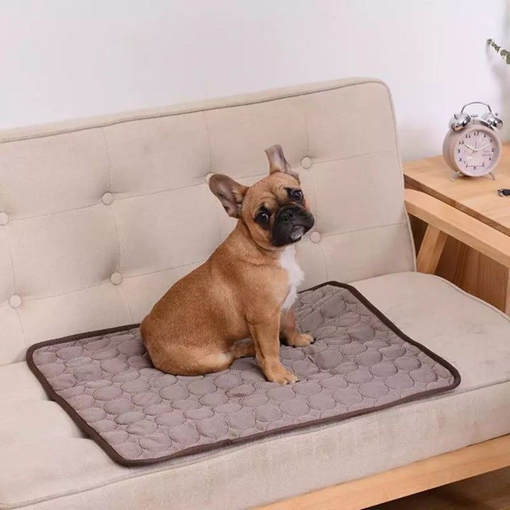 Summer Cooling Dog Mat: Breathable Pad for Dogs and Cats - Washable Pet Bed Blanket for Small, Medium, and Large Dogs, Ideal for Cars | Kalsten