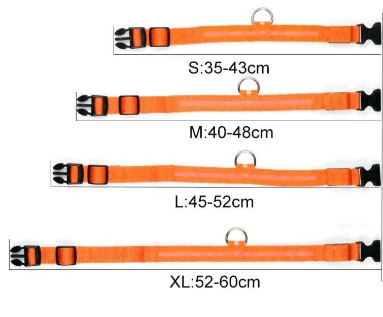 Kalsten | GlowPets LED Collar – Safety & Visibility for Pets