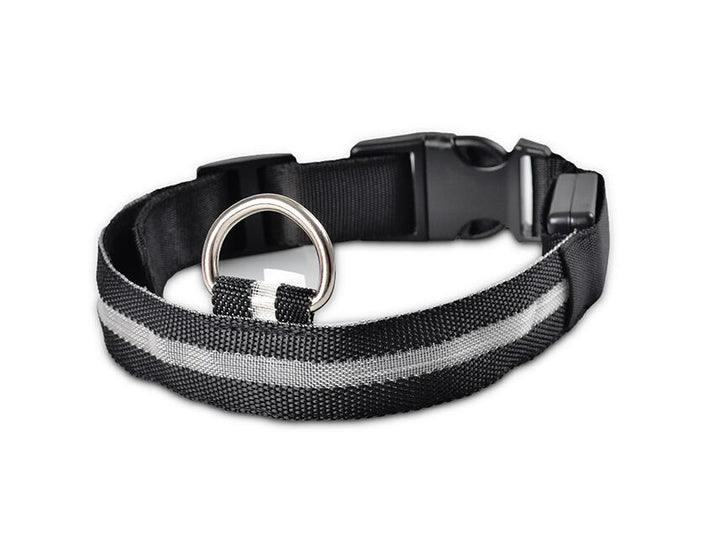 Kalsten | GlowPets LED Collar – Safety & Visibility for Pets
