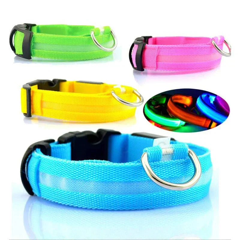 Kalsten | GlowPets LED Collar – Safety & Visibility for Pets