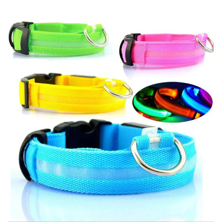 Kalsten | GlowPets LED Collar – Safety & Visibility for Pets