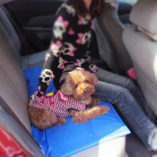 Pet Cooling Mat | Kalsten