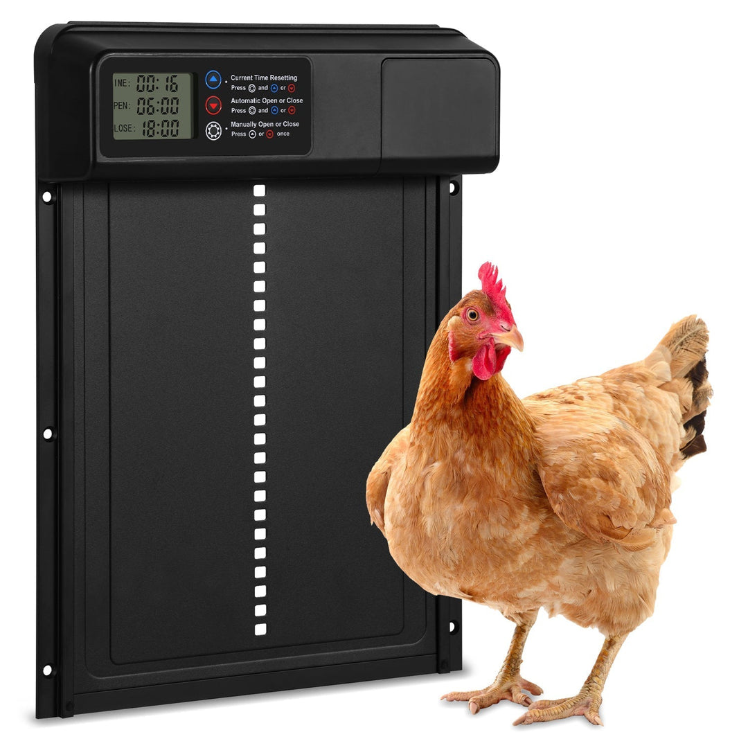 Chicken flap automatic timer | Kalsten