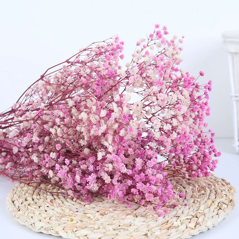 Kalsten | Dried Preserved Gypsophila Flower Bouquet – Natural Decor