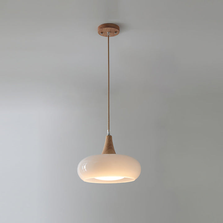 Pendant Lamp Metal Glass Wood 11 in Indoor Kitchen Dining Room Hanging Light Fixture Modern Lighting Options | Kalsten