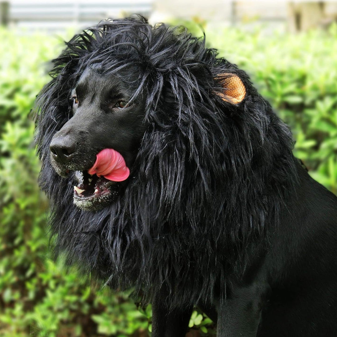 Kalsten | Halloween Dog Costume Lion Mane Wig