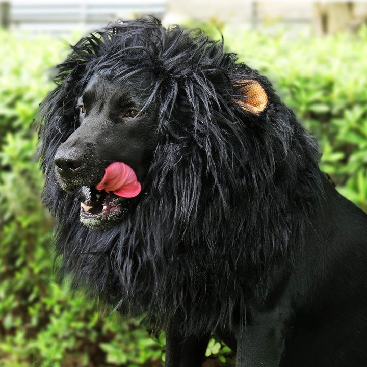 Kalsten | Halloween Dog Costume Lion Mane Wig