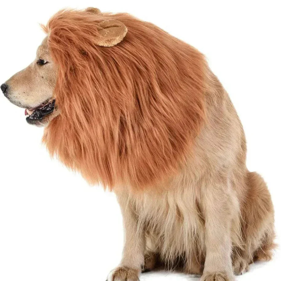 Kalsten | Halloween Dog Costume Lion Mane Wig