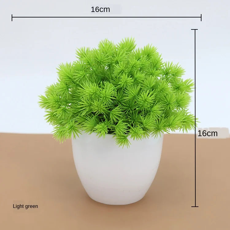 Skanto | Small Wooden Pot Bonsai Planter