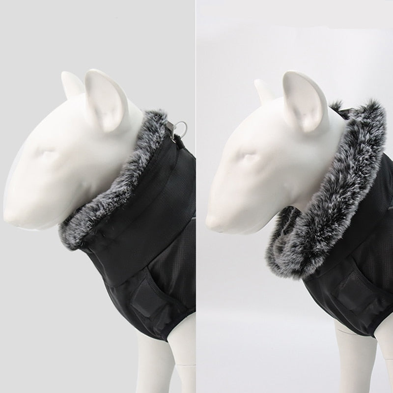 Kalsten | Waterproof Winter Dog Jackets
