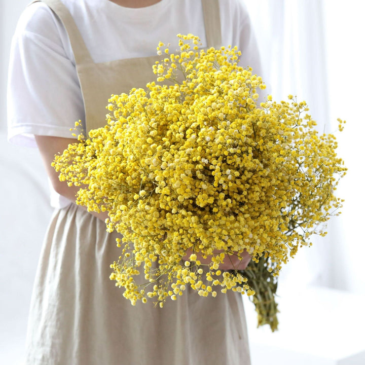 Kalsten | Dried Preserved Gypsophila Flower Bouquet – Natural Decor