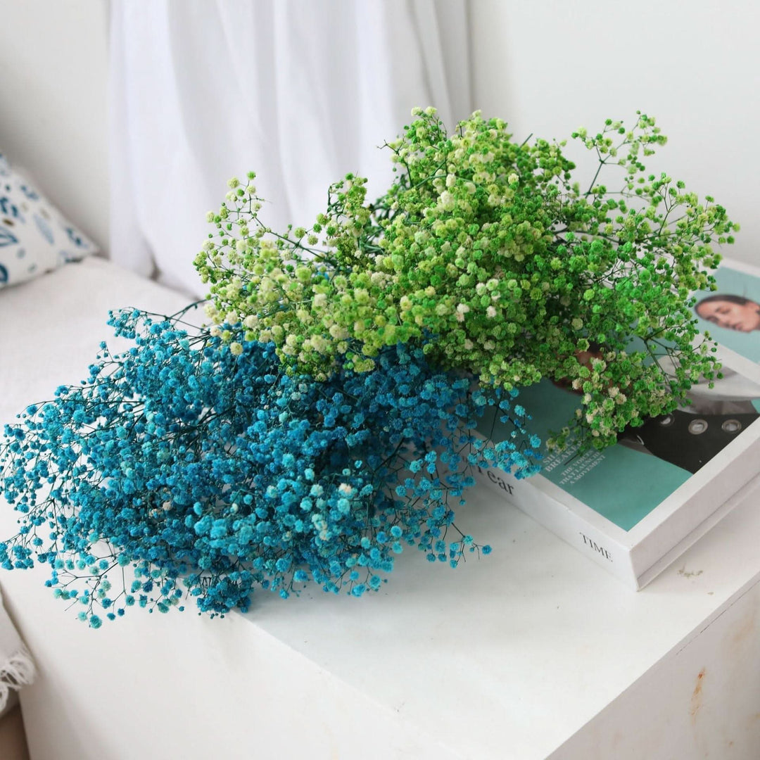 Kalsten | Dried Preserved Gypsophila Flower Bouquet – Natural Decor