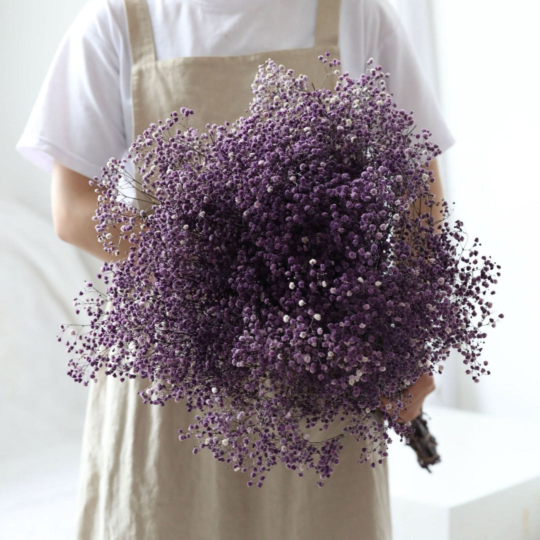 Kalsten | Dried Preserved Gypsophila Flower Bouquet – Natural Decor