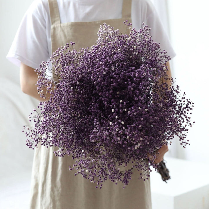 Kalsten | Dried Preserved Gypsophila Flower Bouquet – Natural Decor