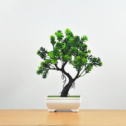 Skanto | Small Wooden Pot Bonsai Planter