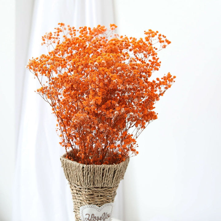 Kalsten | Dried Preserved Gypsophila Flower Bouquet – Natural Decor
