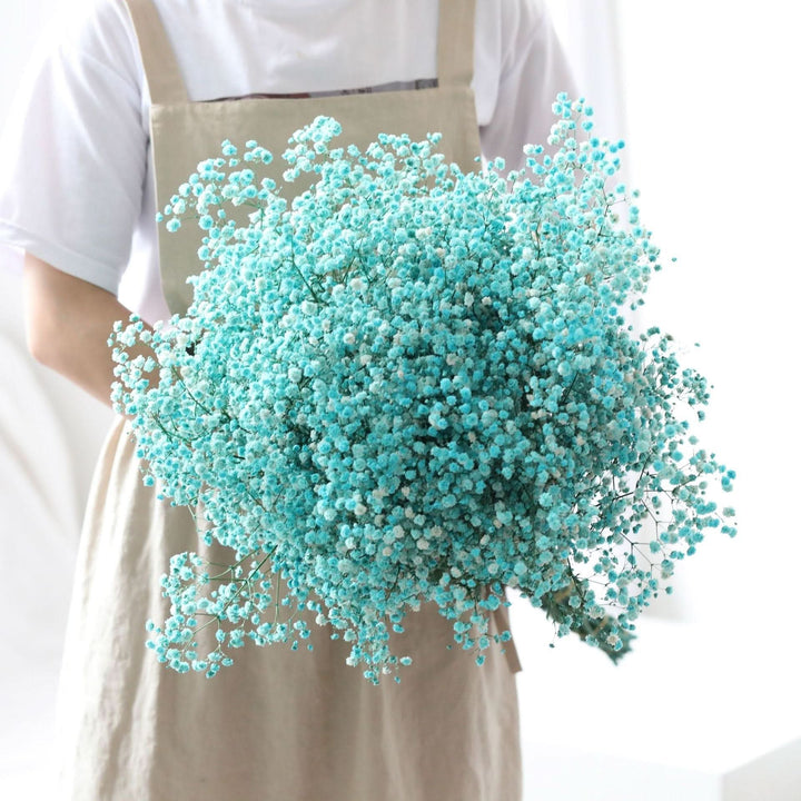 Kalsten | Dried Preserved Gypsophila Flower Bouquet – Natural Decor