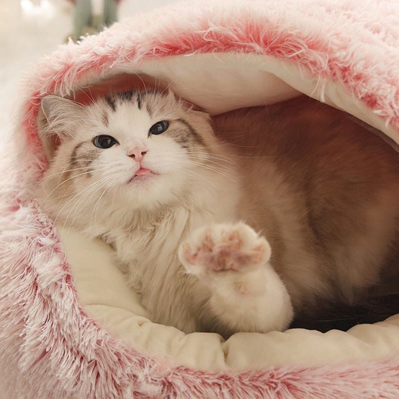 KittyCove Ultimate Comfort for Your Cat | Kalsten
