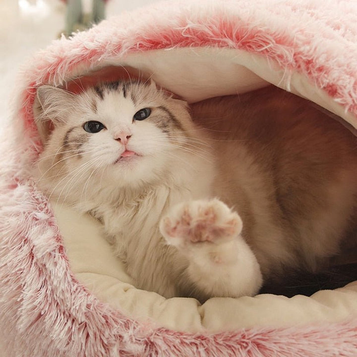 KittyCove Ultimate Comfort for Your Cat | Kalsten