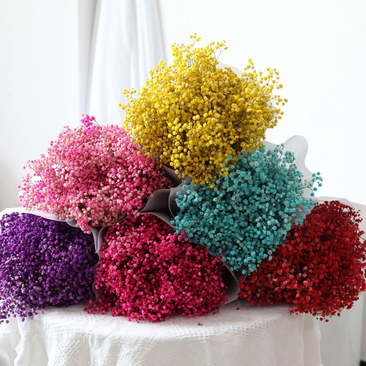 Kalsten | Dried Preserved Gypsophila Flower Bouquet – Natural Decor