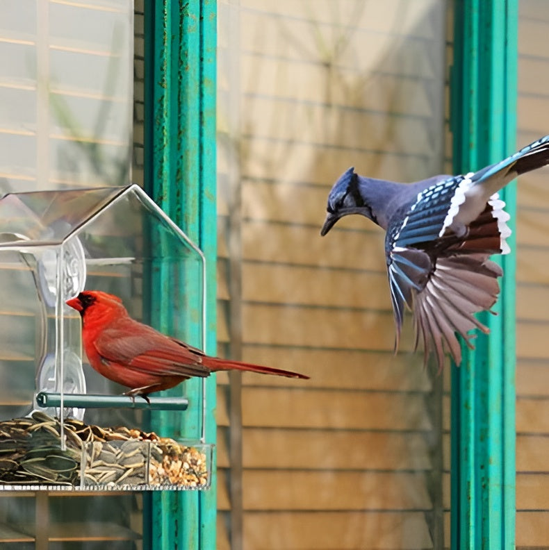 Clear Window Bird Feeder with Secure Suction Cup Design