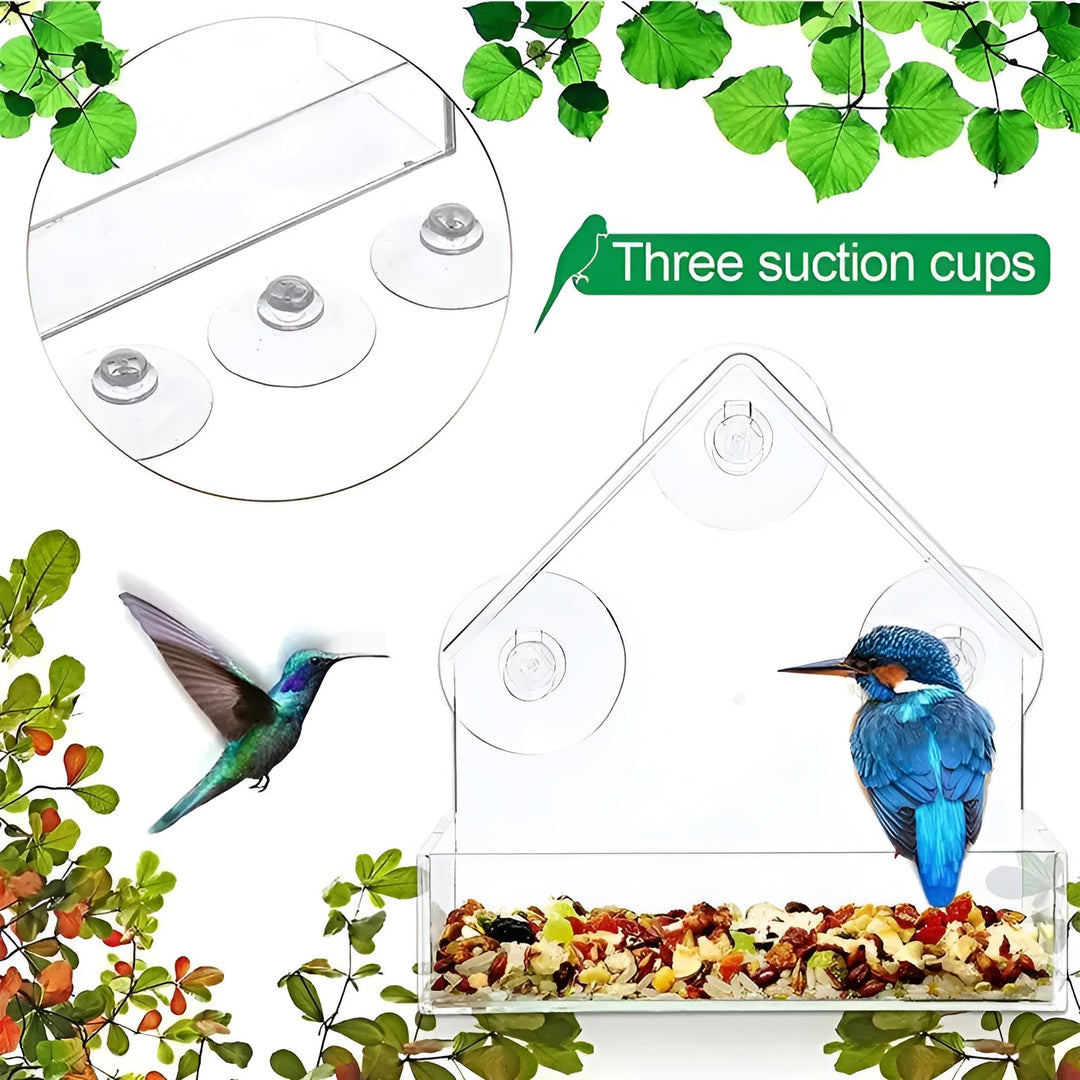 Clear Window Bird Feeder with Secure Suction Cup Design