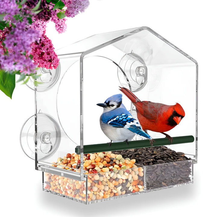 Clear Window Bird Feeder with Secure Suction Cup Design