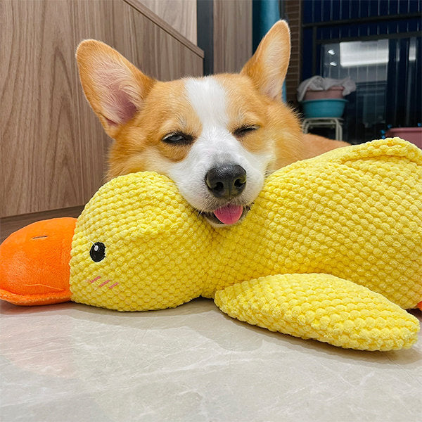 Kalsten | Calming duck for dogs