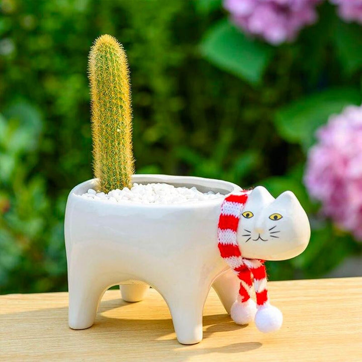 Kat Pot | Kalsten