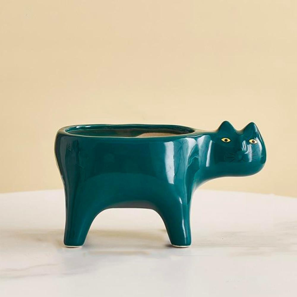 Kat Pot | Kalsten