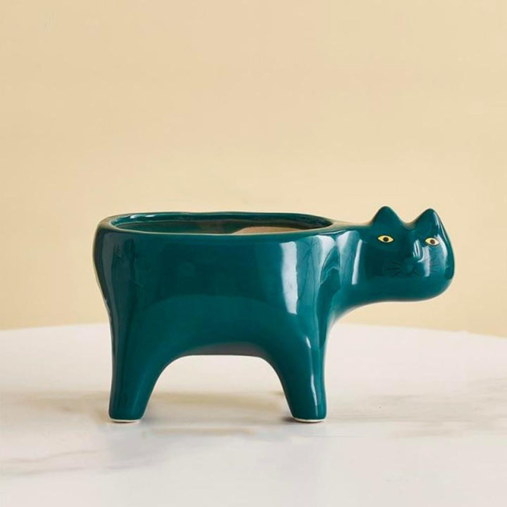 Kat Pot | Kalsten