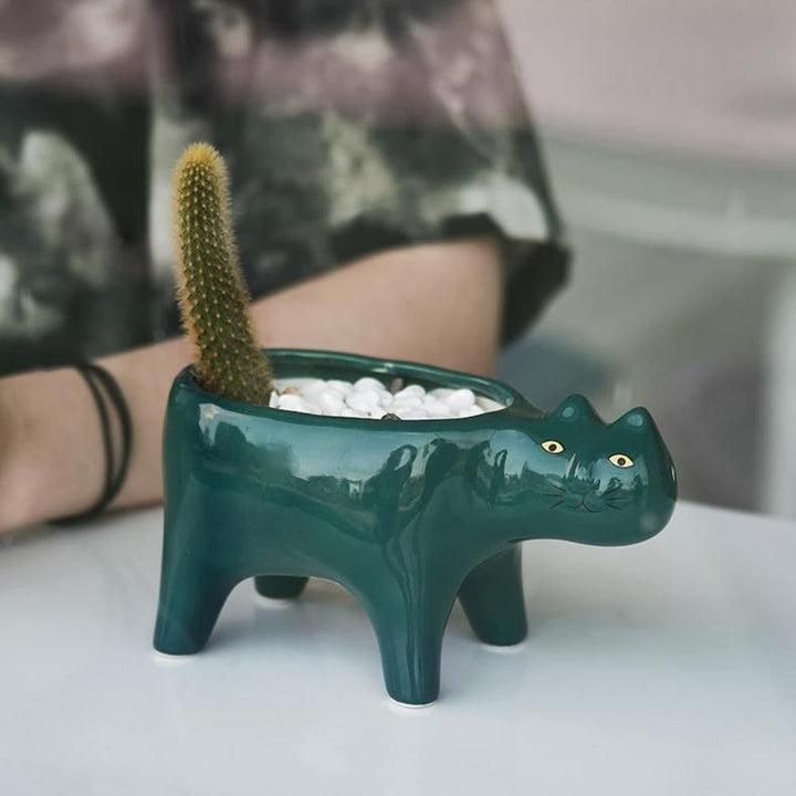 Kat Pot | Kalsten