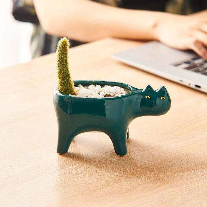 Kat Pot | Kalsten