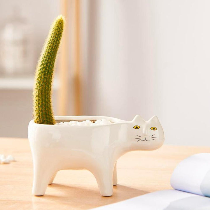 Kat Pot | Kalsten