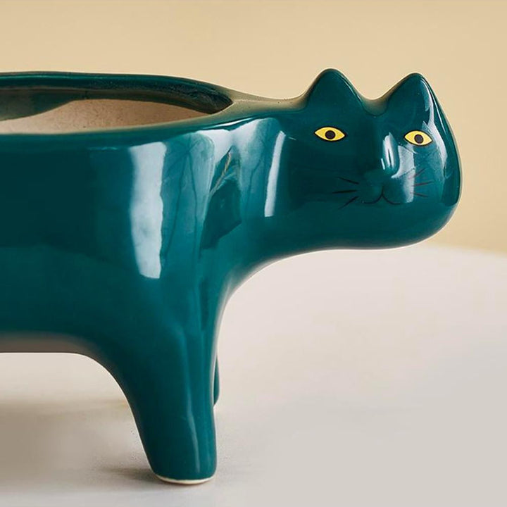 Kat Pot | Kalsten