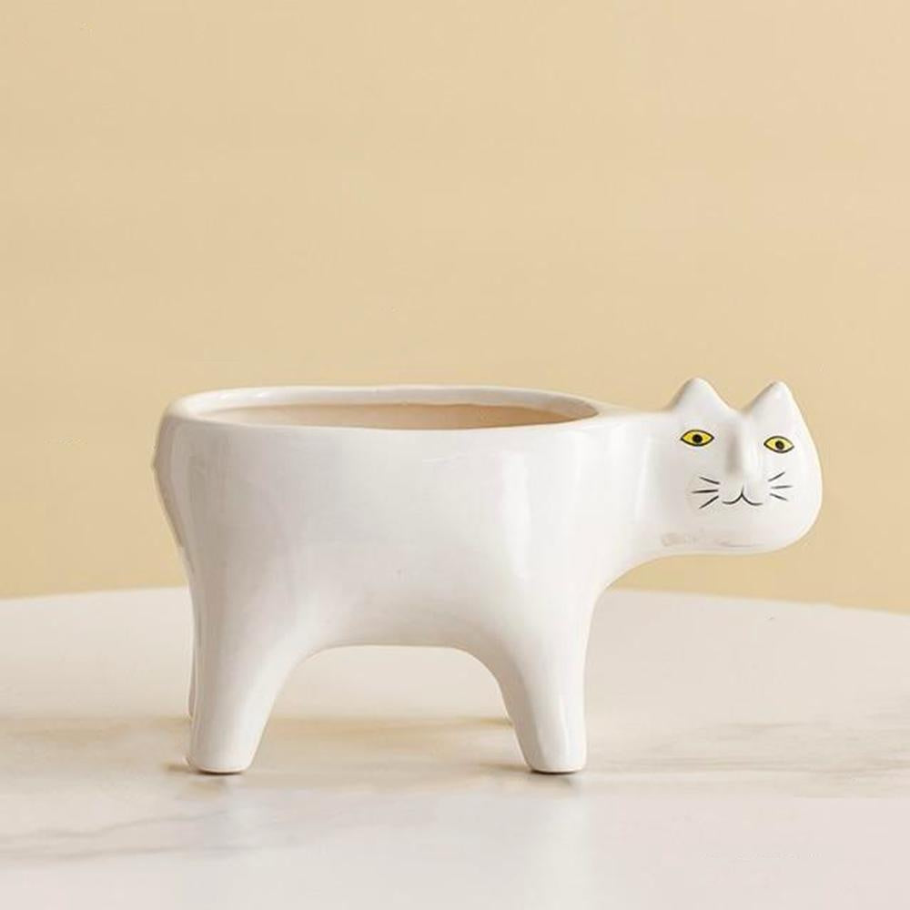 Kat Pot | Kalsten