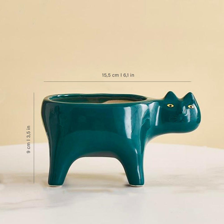 Kat Pot | Kalsten