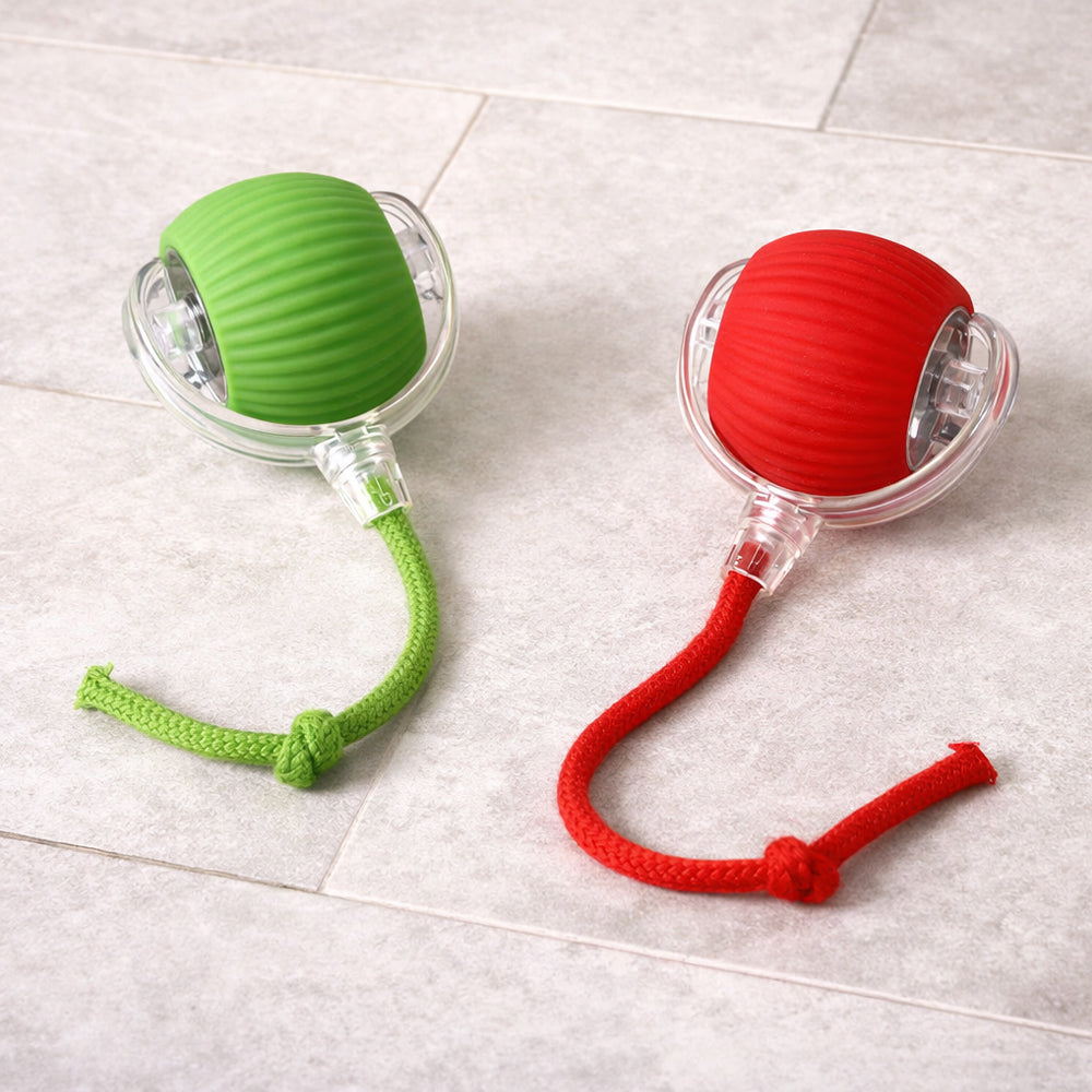 Smart interactive cat ball with string | Kalsten