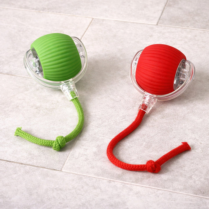 Smart interactive cat ball with string | Kalsten