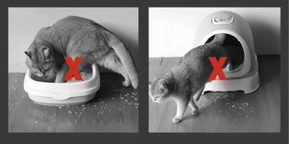 BowLift | Cat litter mat – Keep your floors clean and litter-free!